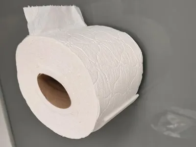 Spare toilet roll holder wall