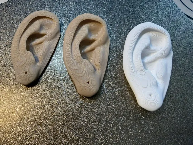 Your right ear! (magnet with Piercing hole)