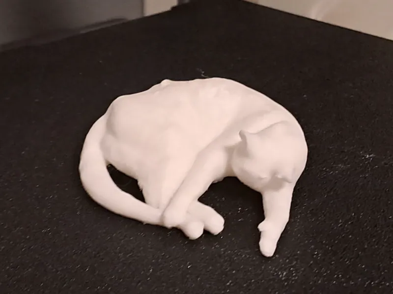 Katze schlafend