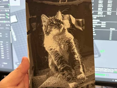 Cute Cat HueForge - B&W