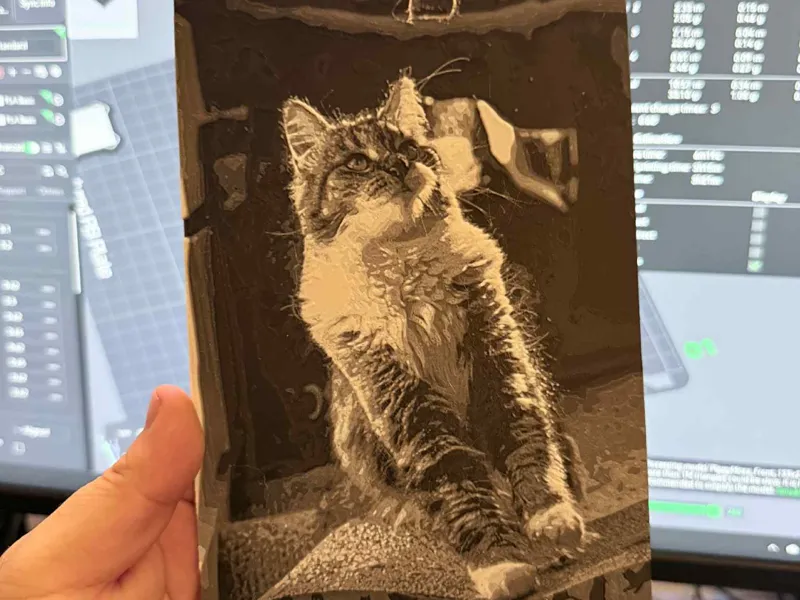 Cute Cat HueForge - B&W