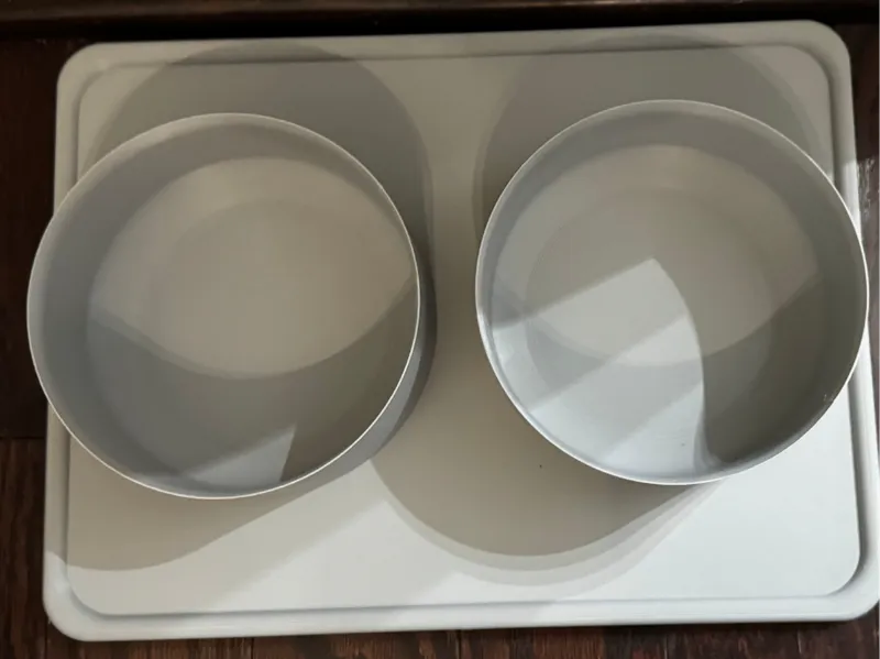 Pet Food Bowl and Tray combo with retainer