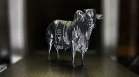 Statue de taureau Nelore champion — photo 3