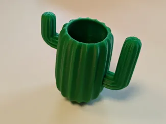 Le Cactus de la salle 4