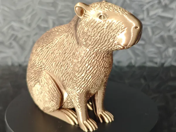 https://makerworld.bblmw.com/makerworld/model/USa7a849028e82e1/design/2025-11-22_056abc5d3db718.jpg