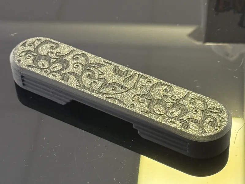 revopoint Inspire 2 lens cover