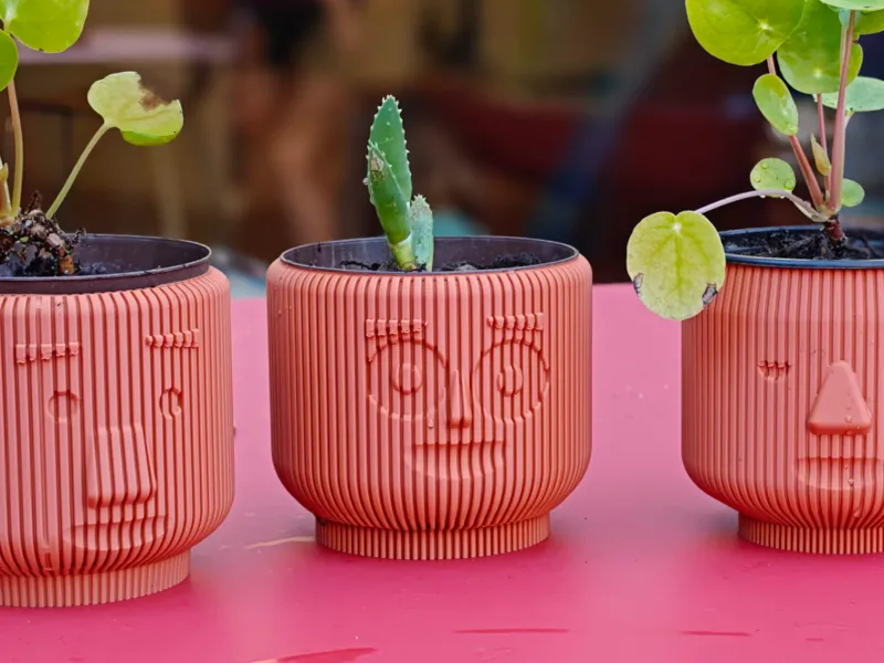 Vase mode planter head series: happy face