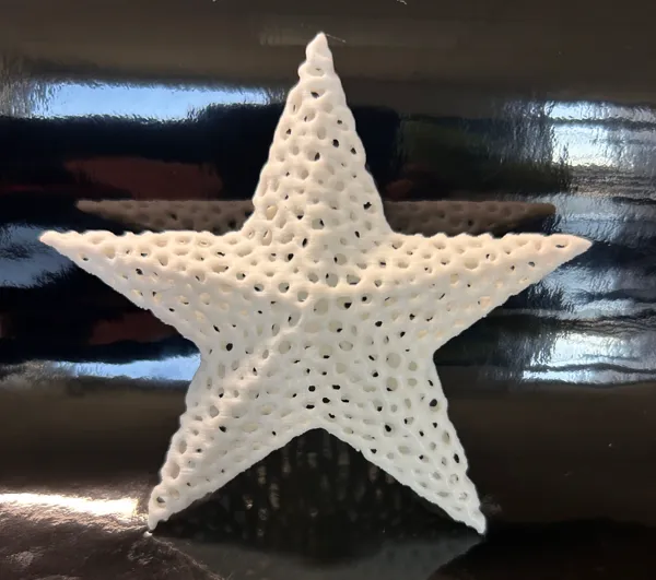 https://makerworld.bblmw.com/makerworld/model/USa7b8b25b6eac1/design/2024-10-24_bdb4b95ec5d34.jpg