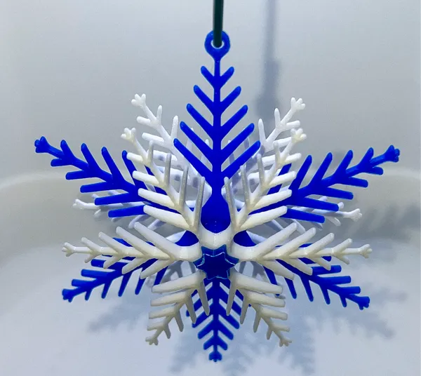 https://makerworld.bblmw.com/makerworld/model/USa7b994f46ab7a2/design/2024-11-19_dd82d348ebae1.jpg
