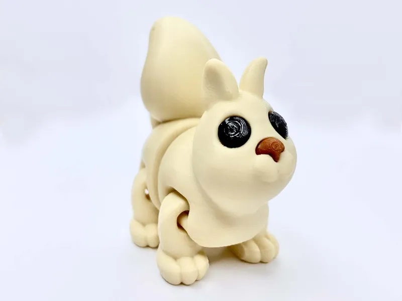 Squirrel