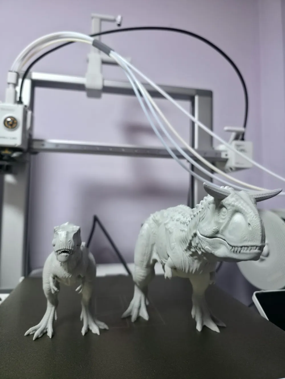 Exploring Model Detailed Carnosaur - Free 3D Print Model - MakerWorld