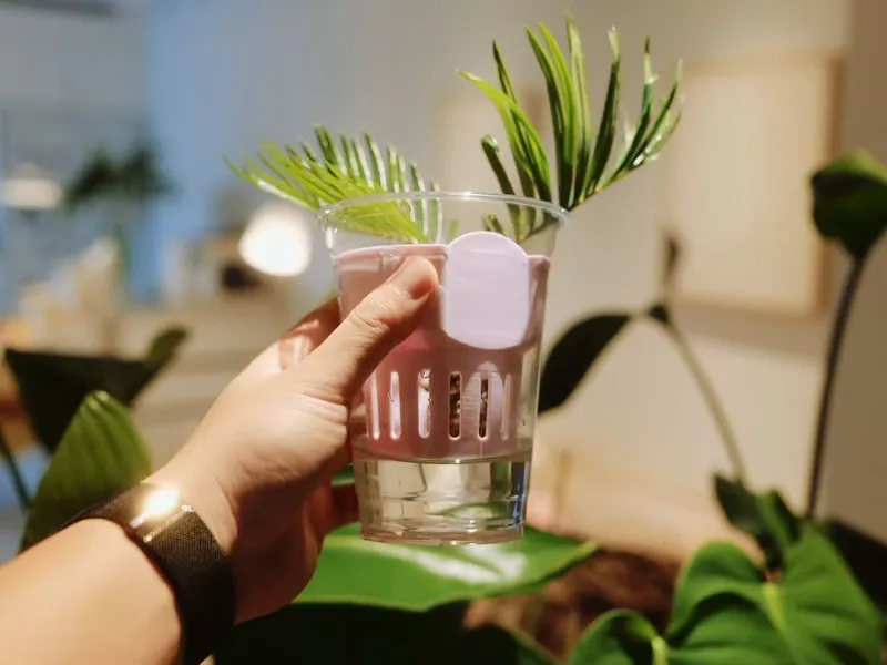 水培定植篮｜咖啡杯、深款、浅款