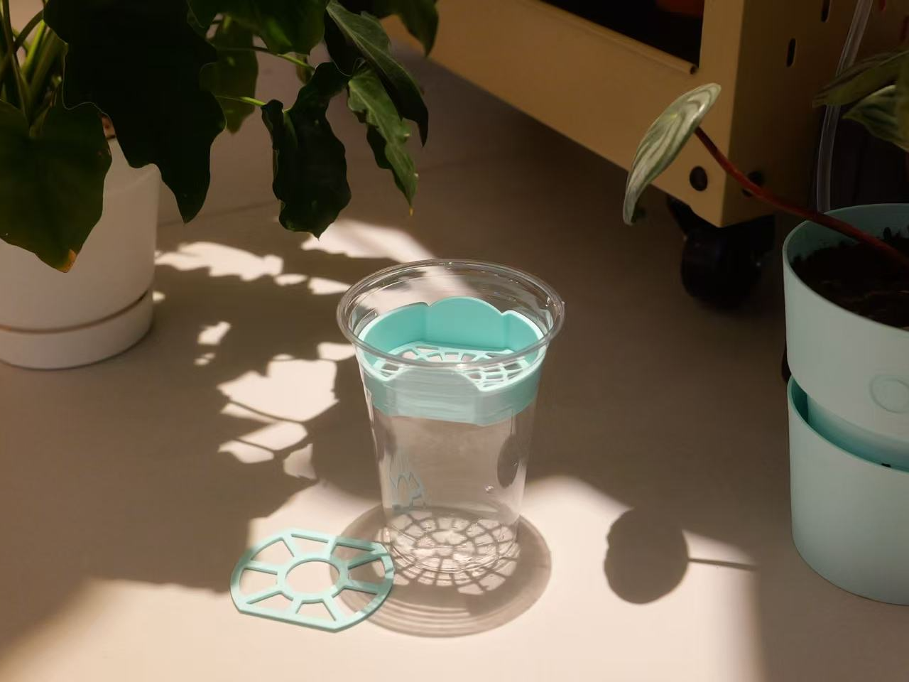 水培定植篮