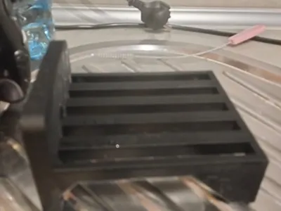 kitchen  sponge bed