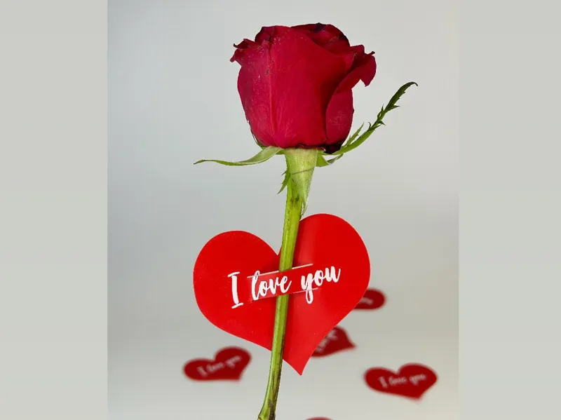 Heart Flower Tag - Valentines Day - I Love You