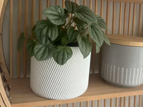 Small Indoor Spiral Plant Vase