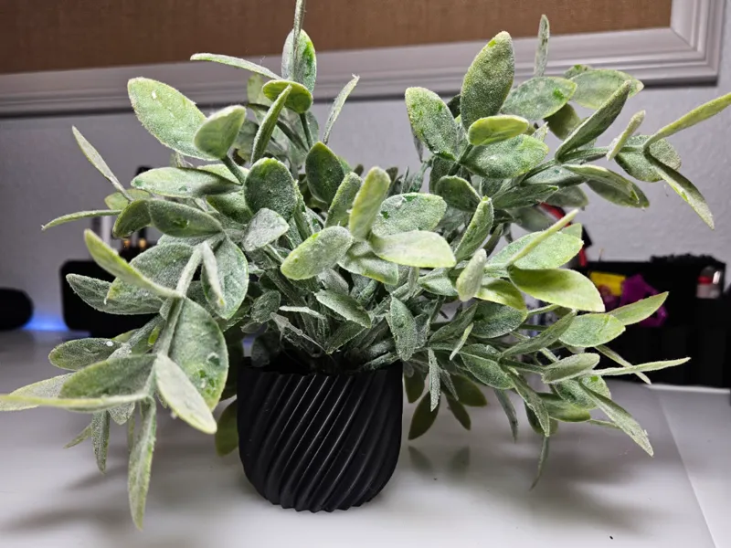 Spiral Vase