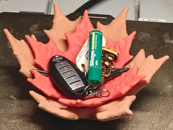 https://makerworld.bblmw.com/makerworld/model/USa7d57733893a66/design/2024-10-27_408fa0413e28e.jpg