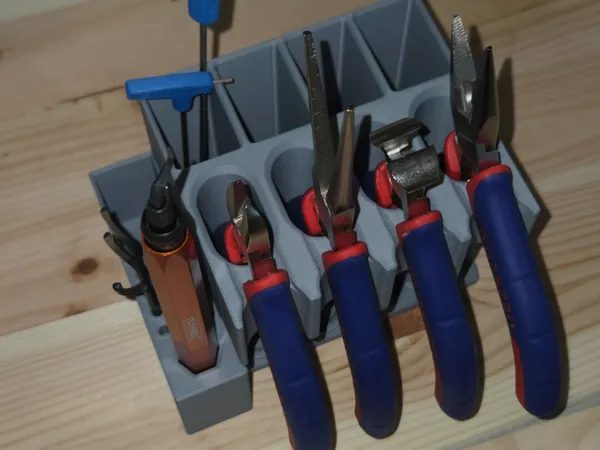 https://makerworld.bblmw.com/makerworld/model/USa7d79a4d9e2975/design/2025-06-24_5ea771a1482a38.jpg