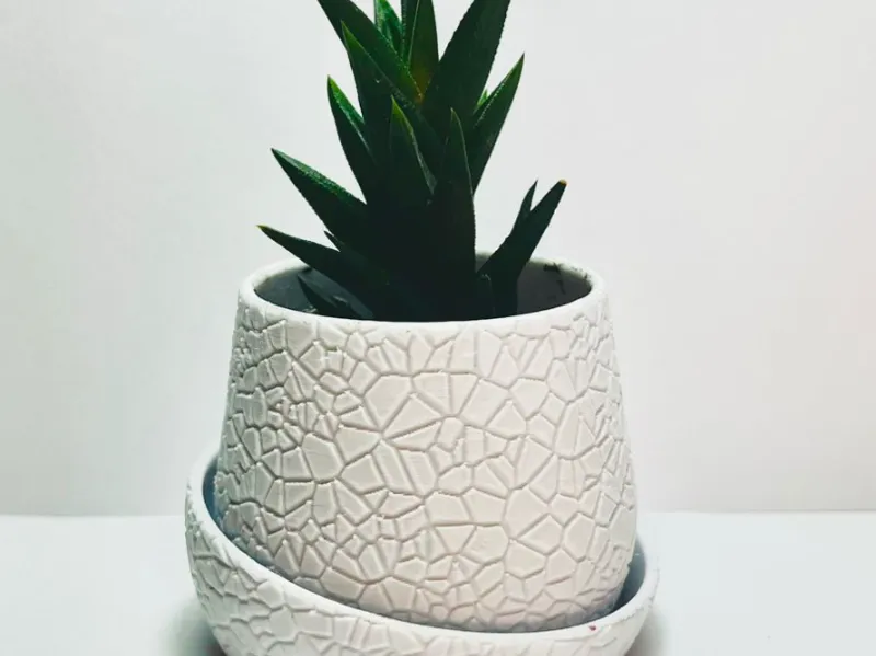 fracture pot