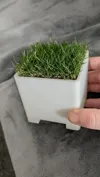 Mini Lawn Box - 75x75mm Inner Dimensions - An Ideal Gift