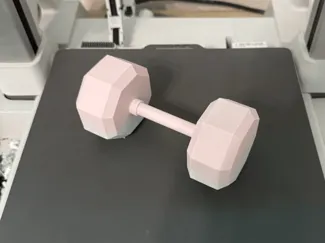 Mini Dumbell