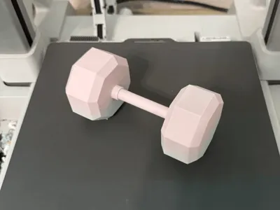 Mini Dumbell