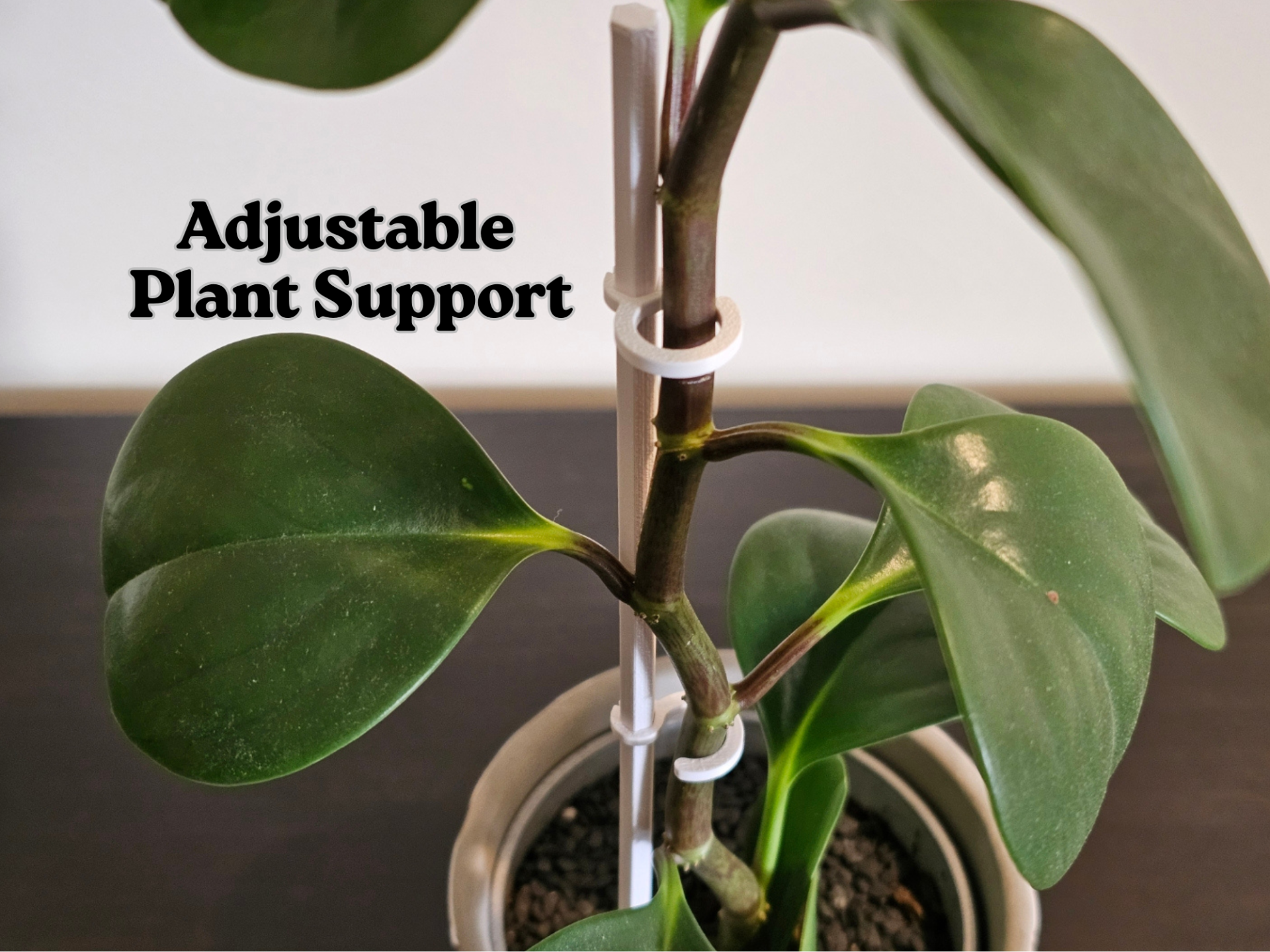 Adjustable Plant Support