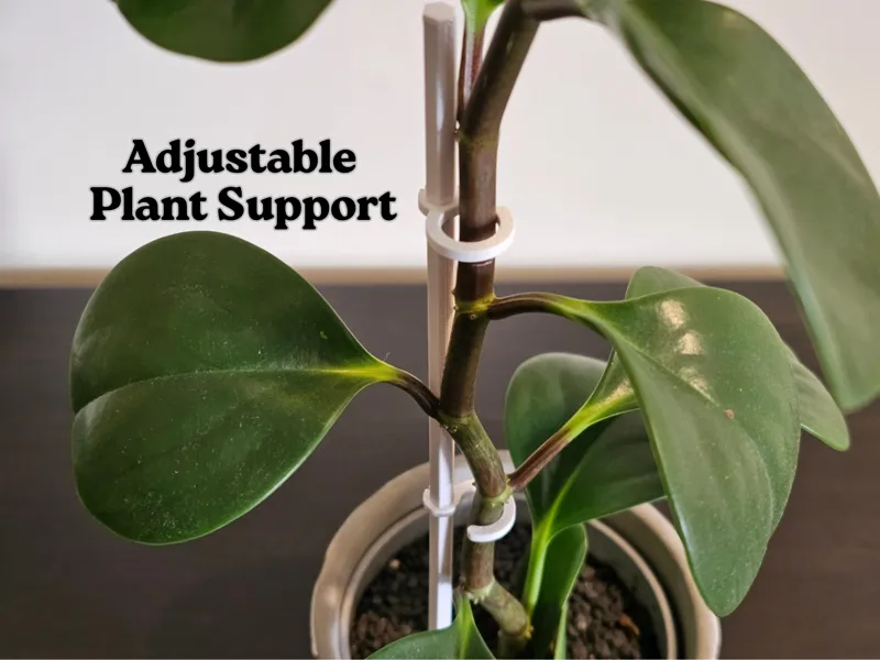 Adjustable Plant Support