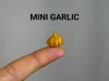 Mini Garlic - 0.12mm layer, 2 walls, 15% infill