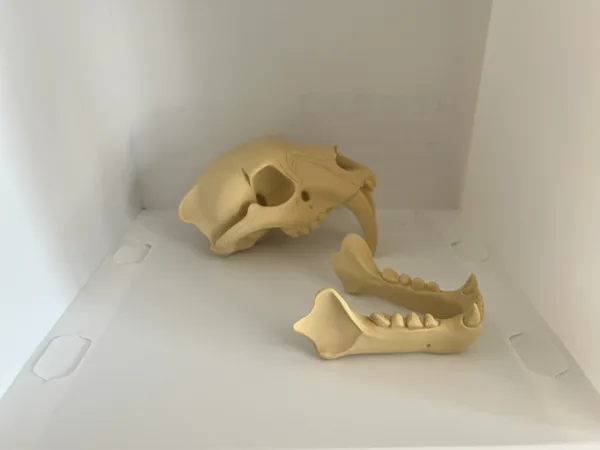 https://makerworld.bblmw.com/makerworld/model/USa7f1fba86cc2d4/design/2025-07-14_de4f0a4c330d38.jpeg