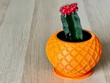 Саксия с полигонален дизайн