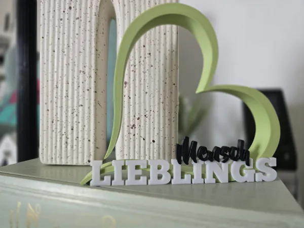 https://makerworld.bblmw.com/makerworld/model/USa7f5db3fa168ae/design/2025-06-12_440908d57c7b58.jpeg