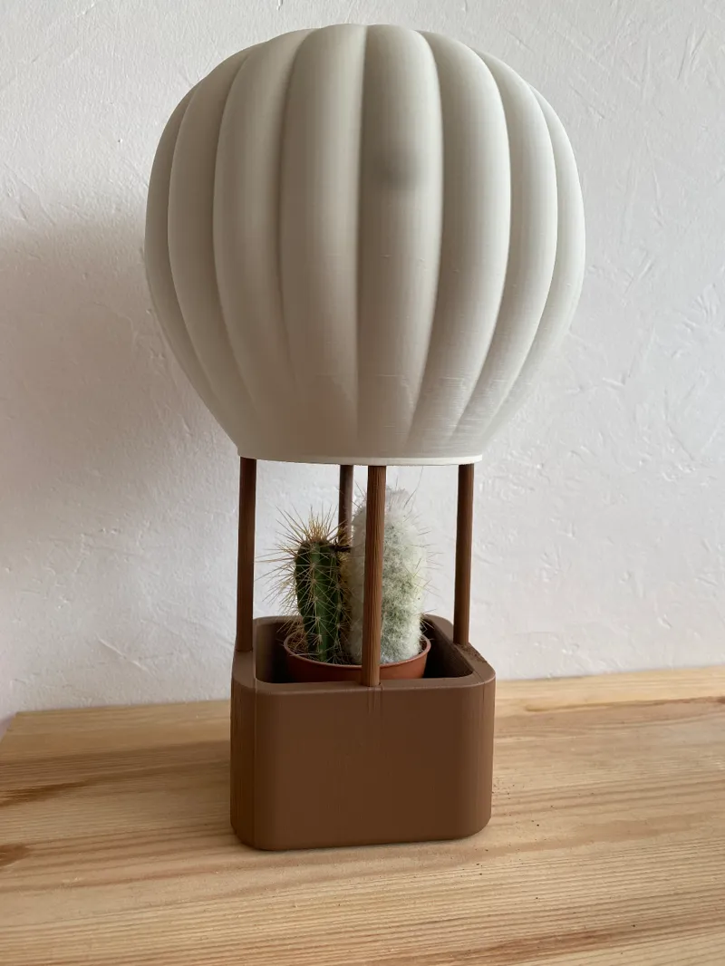 hot air balloon