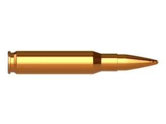 Heavy Bullet
