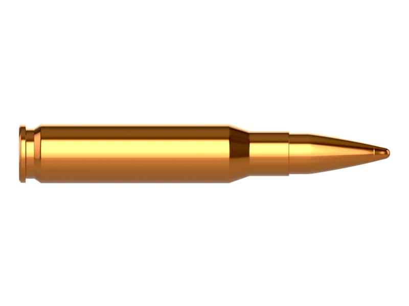 Heavy Bullet
