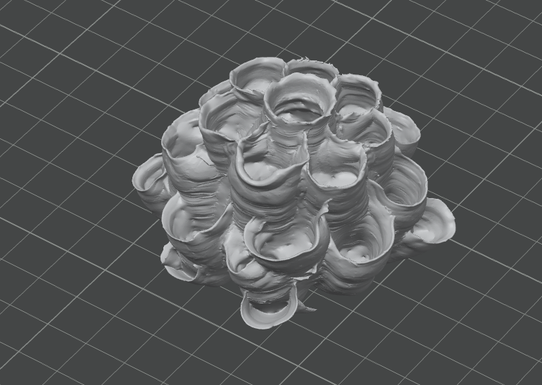 Miniatura 3 do modelo 3D Queen cell wasp nest