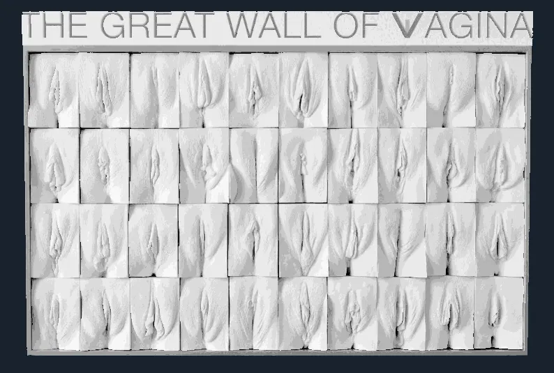the great wall of vagina / pussy by Keppo87 MakerWorld
