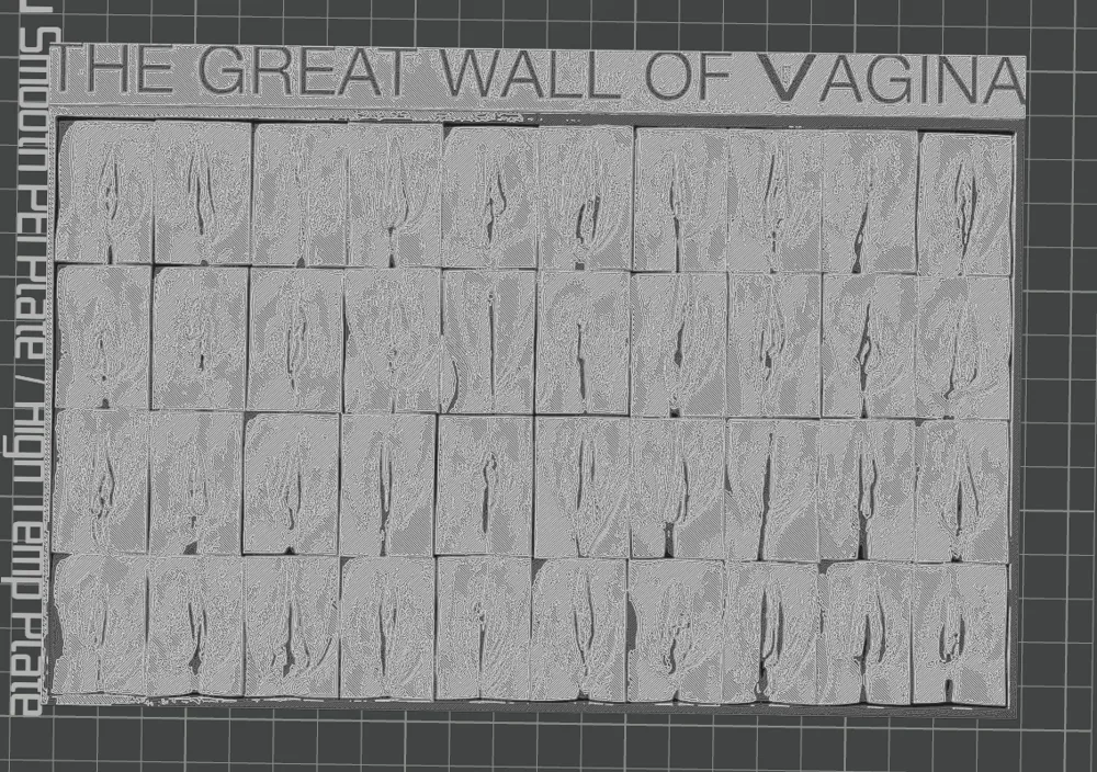 洋書 THE GREAT WALL OF VAGINA Great Wall of Vagina Mini Panel 5 - Plaster and Aluminium