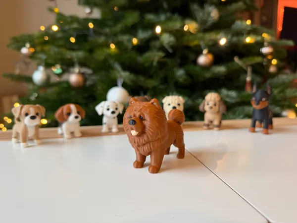 https://makerworld.bblmw.com/makerworld/model/USa80ca768b6a9fd/design/2025-12-14_1199194cf0e2d.jpeg