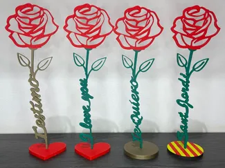 Rosa San Valentin, Rosa San Jordi