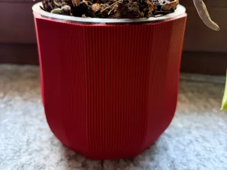 Coprivaso per orchidea