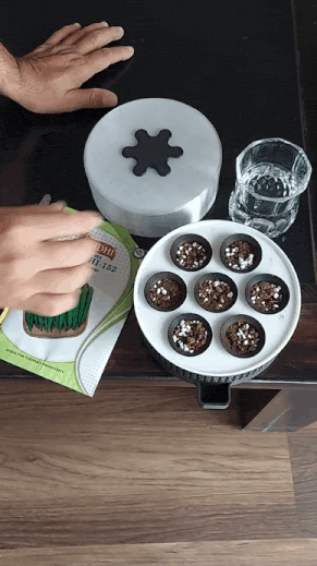 Elegant 7-Pod Desktop Seedling Propagator