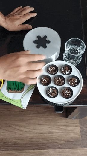 Elegant 7-Pod Desktop Seedling Propagator