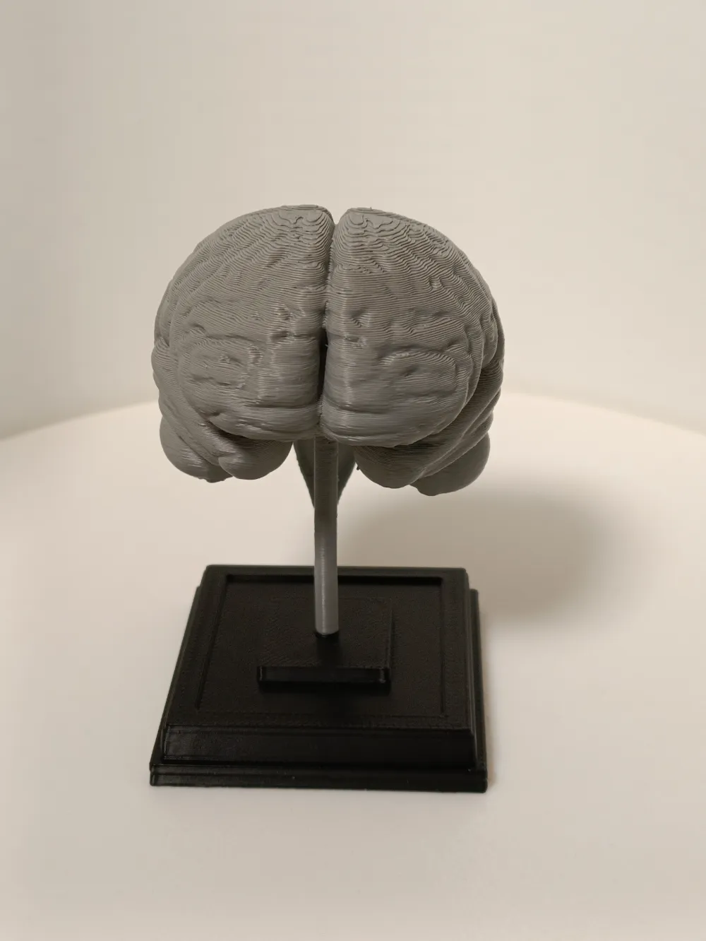 Brain on a stand - Free 3D Print Model - MakerWorld