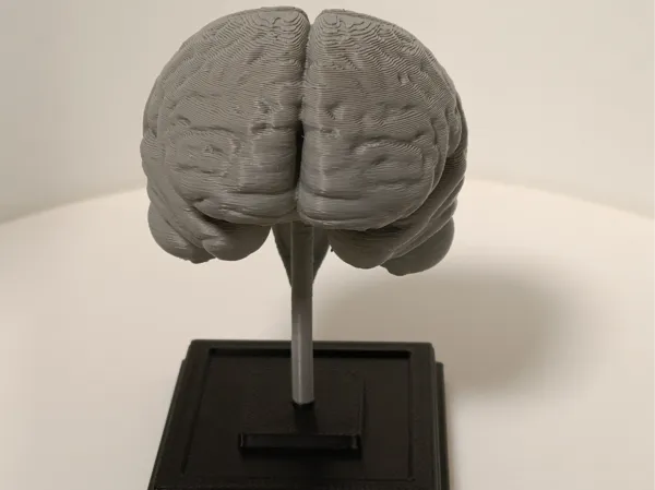 https://makerworld.bblmw.com/makerworld/model/USa81b55bfaaab9b/design/2025-01-09_f5136c0865b7f.jpg