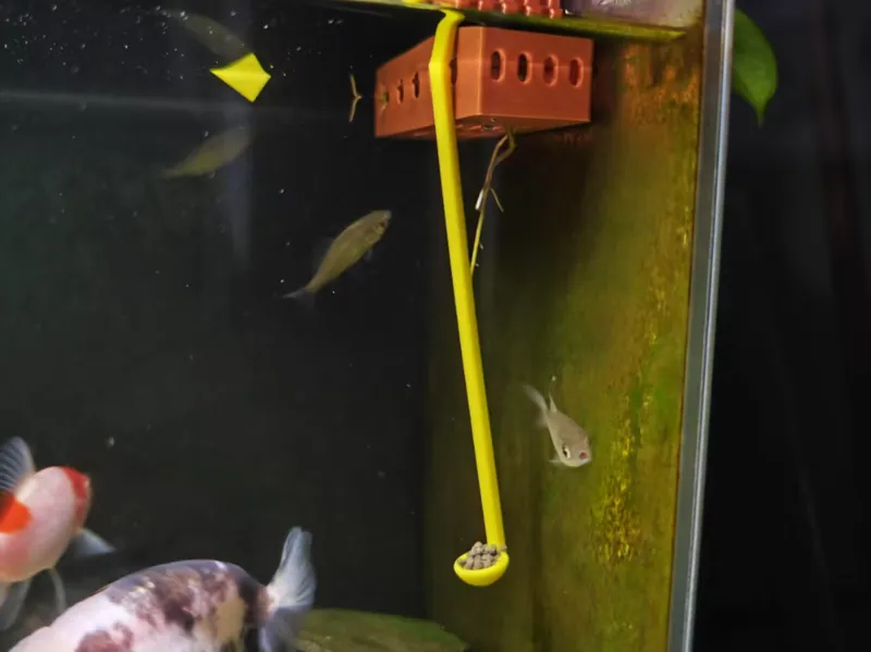 鱼缸沉底鱼食喂饵勺