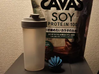 protein shaker ball