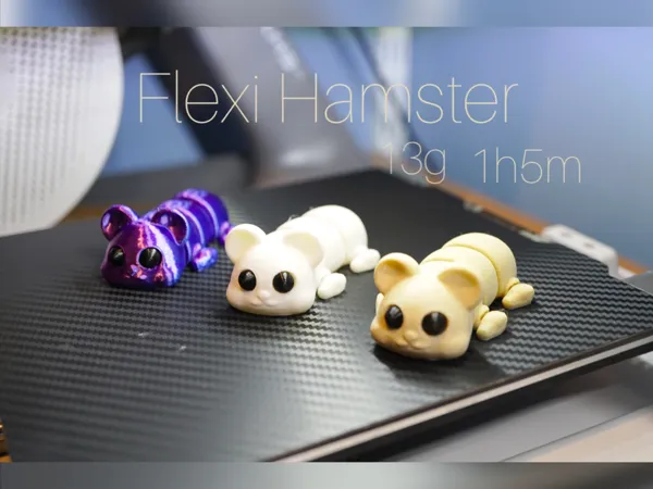 https://makerworld.bblmw.com/makerworld/model/USa82f2eda085d9/design/2025-01-14_bbf1dbd1d6a75.jpeg