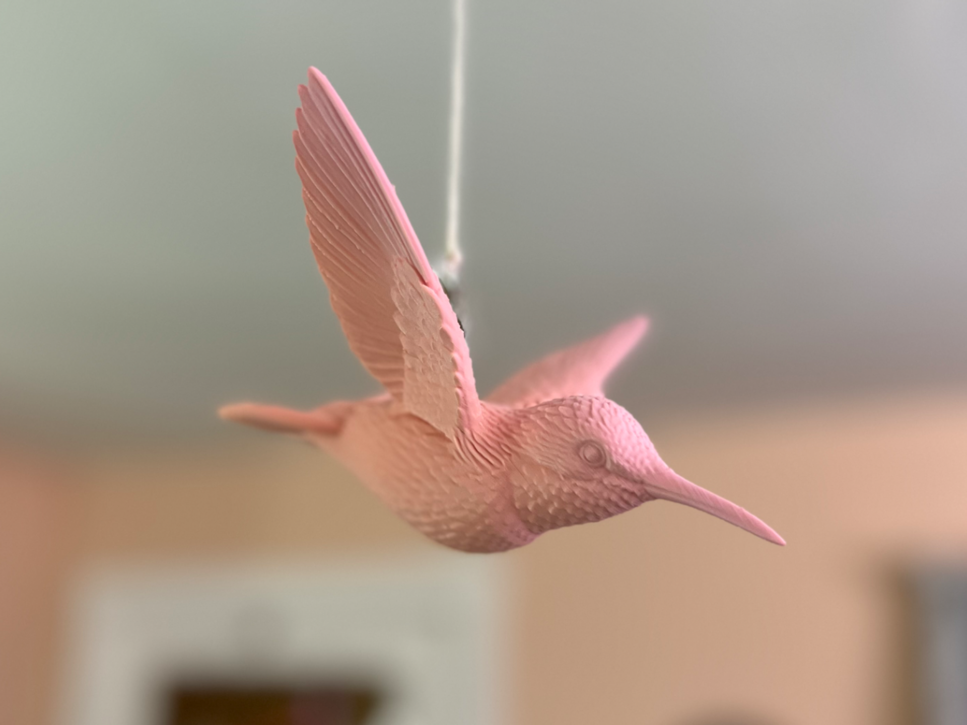 Hanging Humming Bird (Detailed)